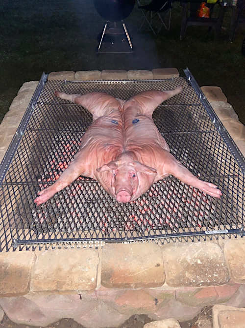 whole hog backyard barbecue